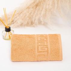 Полотенце махровое с греческим бордюром 50х90 см, GOLD EARTH, хлопок 100%, 430г/м2 VS Текстиль