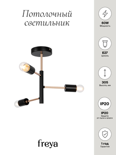 Потолочный светильник Freya FR4010CL-03GB