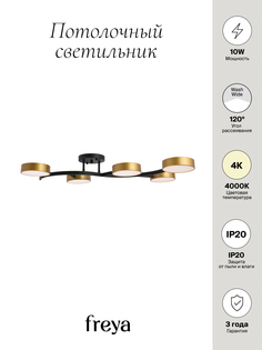 Потолочный светильник Freya FR6048CL-L10GB