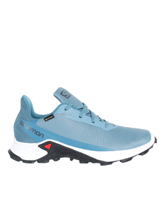 Кроссовки женские Salomon Alphacross 3 Gtx W голубые 9 UK