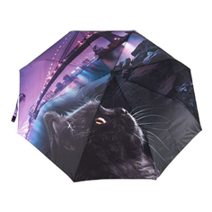 Зонт складной женский полуавтоматический Raindrops RD 22814, разноцветный