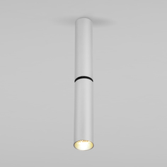 Потолочный акцентный светильник Elektrostandard Pika 25029/LED серебро светодиодный