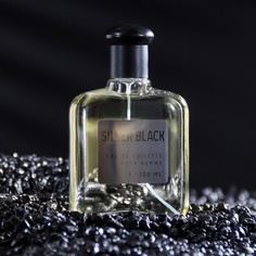 Туалетная вода мужская Colour essences Silver Black, 100 мл No Brand