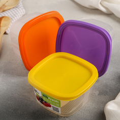 Контейнер пищевой BioFresh, 500 мл, квадратный, цвет МИКС ИскраПласт