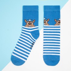 Носки детские PAW Patrol К00000052, синий, 18-20