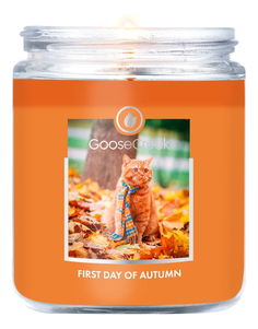 Ароматическая свеча Goose Creek First Day Of Autumn Первый день осени 198г