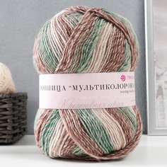 Пряжа "Ровница Мультиколоровая" 50% шерсть, 50% акрил 400м/200гр (1408 М) Пехорка