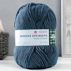 Пряжа "Зимняя премьера" 50%меринос.шерсть, 50% акрил объёмный 150м/100гр (255-Джинсовый) Пехорка