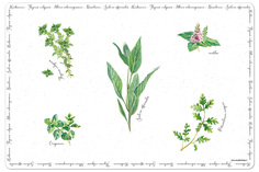 Салфетка под горячее Easy Life Herbarium 45х30см пластик EL-R0550_HERU_