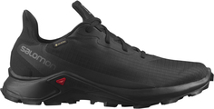 Кроссовки мужские Salomon Alphacross 3 Gtx черные 7 UK