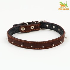 Ошейник для собак Sima-land на синтепоне, с шипами, 2х40 см, ОШ 25-35 см, темно-коричневый