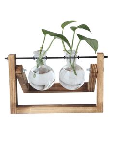 Гидропоника ваза стекло колба 2 штуки на деревянной подставке декор для дома флорариум Паприка Корица