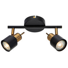 Спот настенно-потолочный Arte Lamp a1906pl-2bk