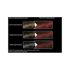Краска для волос Syoss Color 4-2 красное дерево Schwarzkopf