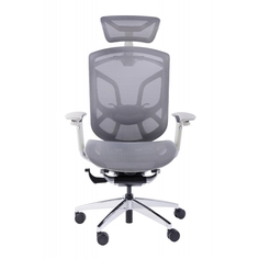 Премиум эргономичное компьютерное кресло GT Chair Dvary X - серое