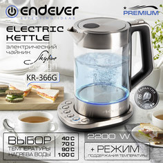 Чайник электрический Endever KR-366G 1.7 л серебристый