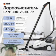Паровой очиститель Bort BDR-2500-RR Blue