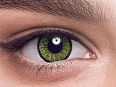 Линзы контактные Adria Elegant color 2 линзы R 8.6 Green Aria