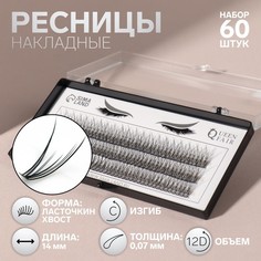 Набор накладных ресниц «Ласточкин хвост», пучки, 14 мм, толщина 0,07 мм, изгиб С, 12 D Queen Fair