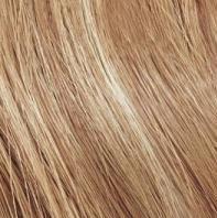 Перманентный краситель-лак Color Gels Lacquers P1599200, 8GN, плющ, 60 мл Redken