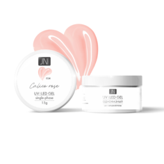 Однофазный гель для моделирования ногтей JessNail 024 ситцевая роза, 15г