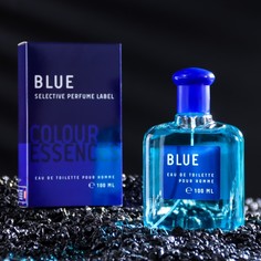 Туалетная вода мужская "Colour essence. Blue", 100 мл Delta Parfum