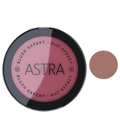 Румяна для лица Astra Blush expert mat effect тон 04, 47 г