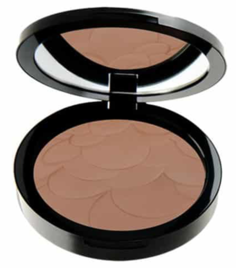 Пудра компактная для лица PASTEL Advanced Compact Powder 60 Chestnut