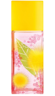 Вода туалетная Elizabeth Arden Green Tea Mimosa женская, 100 мл