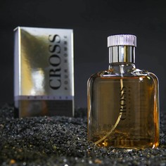 Туалетная вода мужская Cross Bottled, 100 мл Delta Parfum