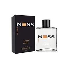 Туалетная вода мужская Parfums Evaflor, Ness Intense 100 мл