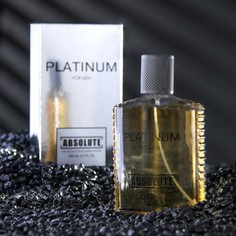 Туалетная вода мужская Absolute Platinum, 100 мл Delta Parfum