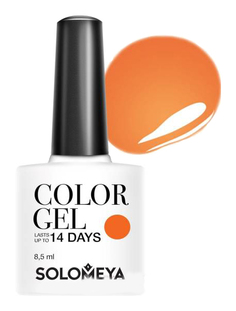 Гель-лак для ногтей Solomeya Color Gel Toucan