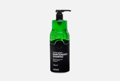 Шампунь для волос Ostwint Professional Maintenance Shampoo Repairing Keratin 1000 мл
