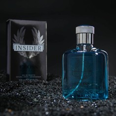 Туалетная вода мужская Cross Insider, 100 мл Delta Parfum