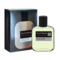 Туалетная вода мужская Pro-Energy Platinum, 100 мл Delta Parfum