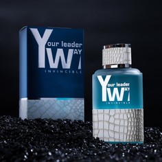 Туалетная вода Your Leader Way Invincible мужская, 100 мл Parli