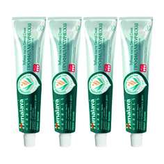 Комплект Зубная паста Himalaya Dental Cream Профилактическая с фтором 100 г х 4 шт.