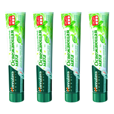 Комплект Зубная паста Himalaya Herbals Mint Fresh Освежающая мята 75 мл х 4 шт.