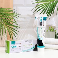 Зубная паста Hanil Charcoal Dental с серебром и бамбуковым углем, 180 мл