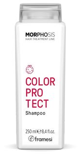 Шампунь для окрашенных волос Framesi COLOR PROTECT SHAMPOO 250 мл