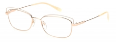 Оправа для очков PIERRE CARDIN P.C. 8853 IVRGDCPPR