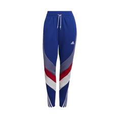 Брюки женские Adidas H20453 разноцветные 2XS