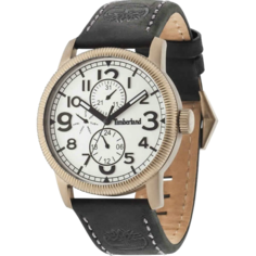Наручные часы мужские Timberland TBL.14812JSK/01 черные