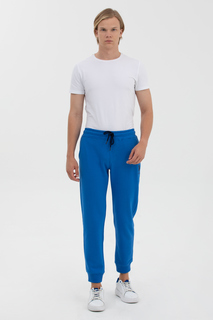 Спортивные брюки мужские U.S. POLO Assn. G081SZ0OP-000-1574064-HEROLDIY023 синие L