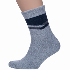 Носки мужские Hobby Line 6364 серые one size