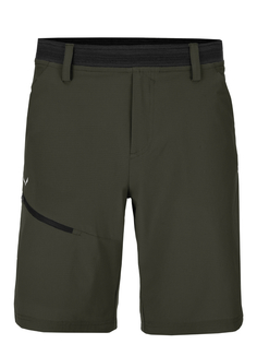 Шорты мужские Salewa Puez 3 Dst M Shorts зеленые 2XL