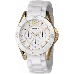 Наручные часы женские Fossil CE1006