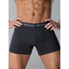 Трусы мужские Opium R45 серые L