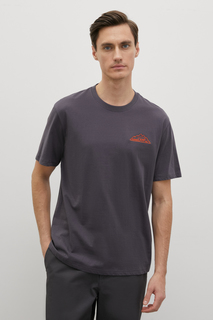 Футболка мужская Finn Flare FSD21055-1P серая 2XL